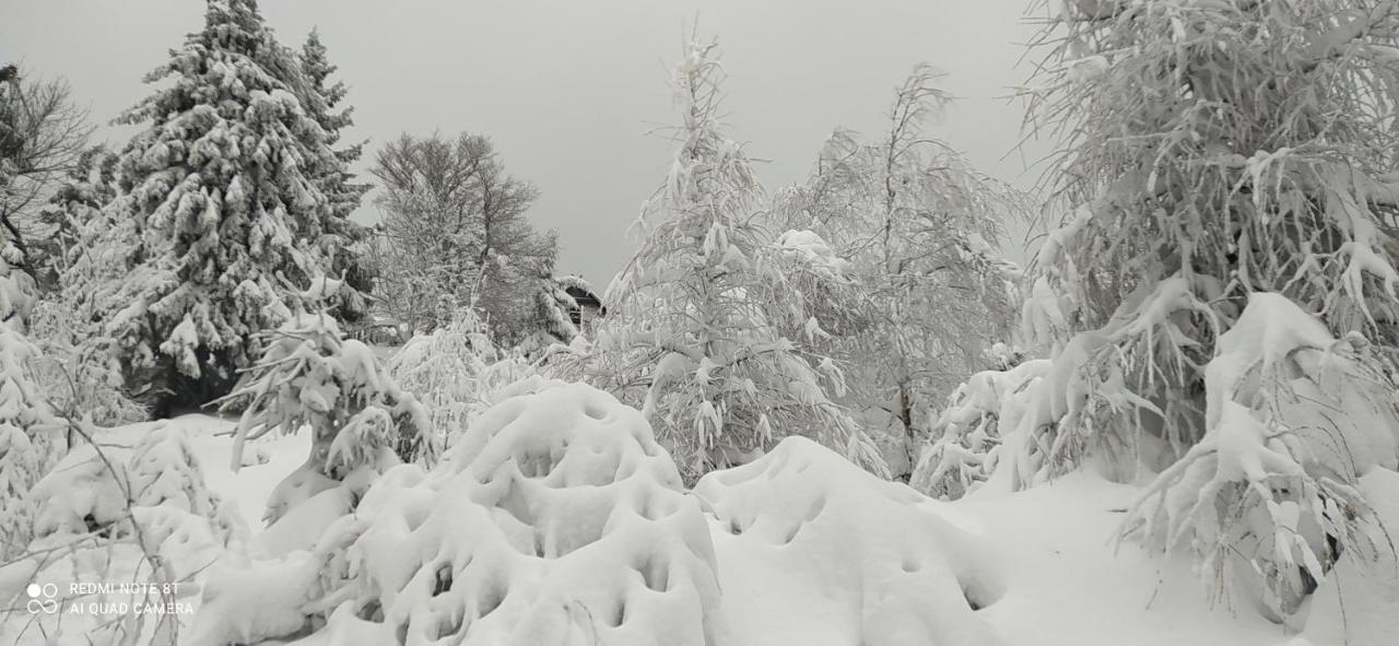 Na Malej Apartment Szklarska Poreba Bagian luar foto